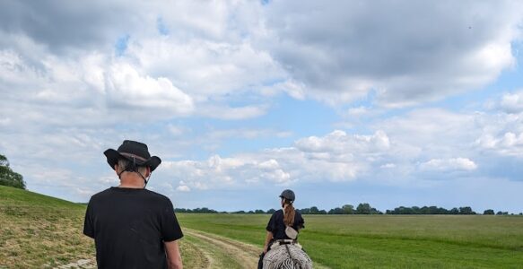 Abenteuer an der Elbe: Mit den Pferden auf Entdeckungstour