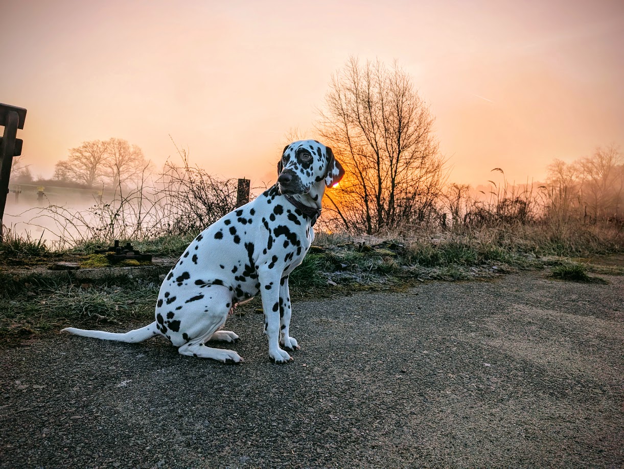 🌻 Endlich wieder „Sattelzeit“: Wir wecken die Elbtalaue aus dem Winterschlaf!